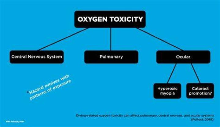 What is high toxicity